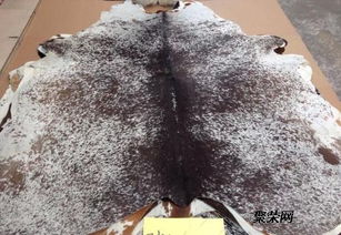 皮革进口总代理直销 品质、服务与供应链的完美融合